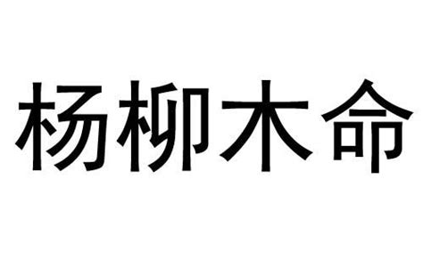 楊柳木命|什麼叫楊柳木命 五行命理分析